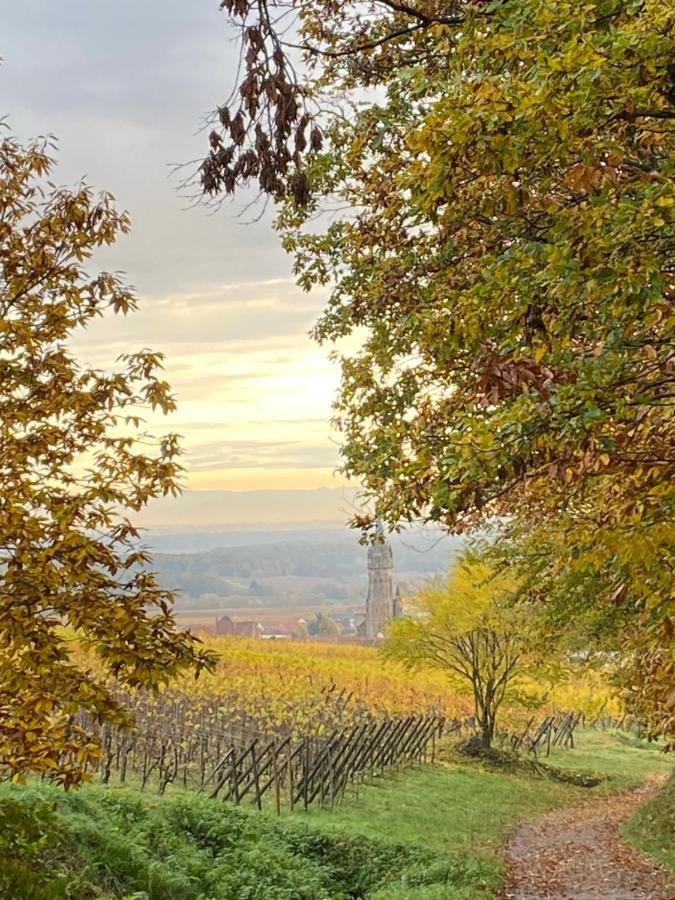 Gite Des Forgerons Dambach Dış mekan fotoğraf